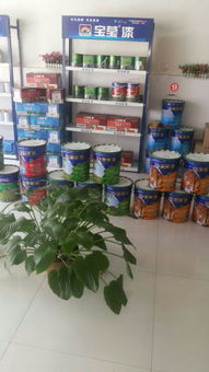 宝莹漆 专业涂料加盟与招商代理的明智之选