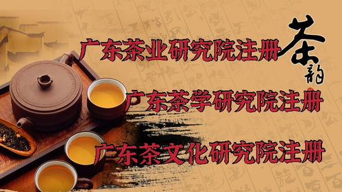 广东注册茶文化研究院所需材料与技术咨询指南