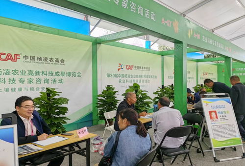 第三十届中国杨凌农业高新科技成果博览会开幕，聚焦前沿技术与创新咨询